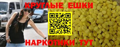 стаф Свободный