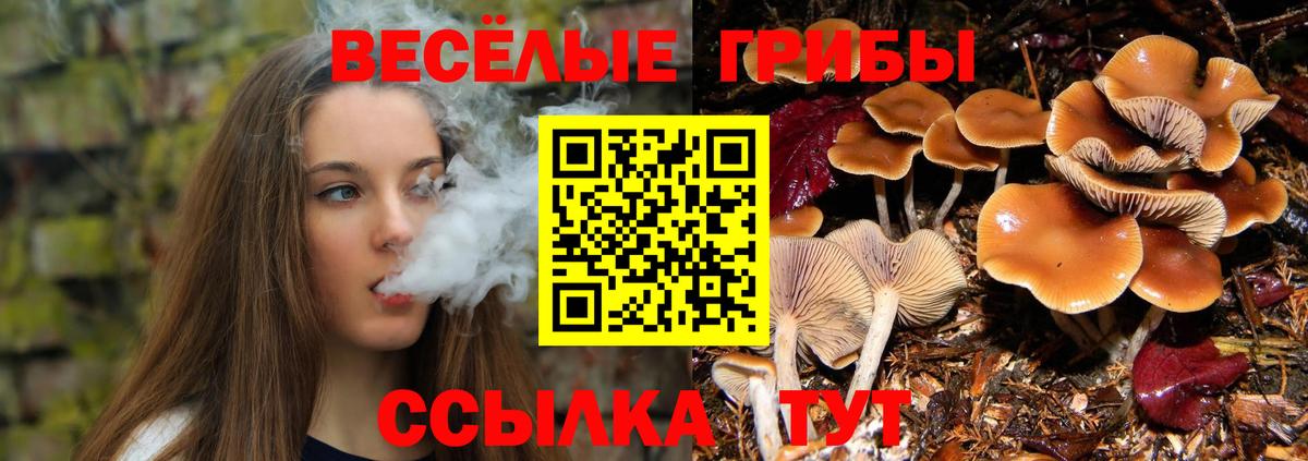 Псилоцибиновые грибы мицелий  Вход с VPN  Пыть-Ях 
