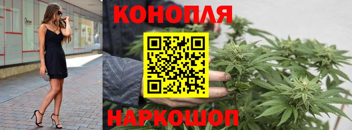 Канабис сатива Пыть-Ях